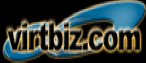 virtbiz internet services web hosting colocation dedicated servers and web design and web development